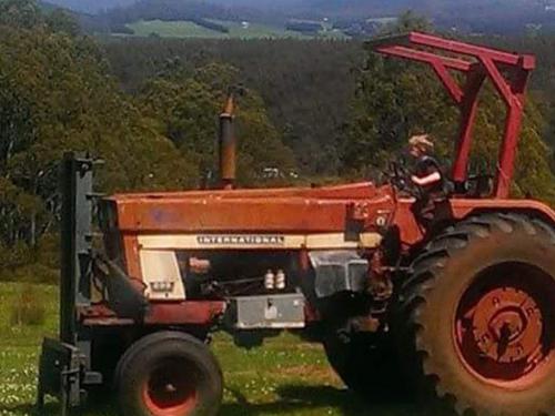 International Harvester 696 International Harvester 696